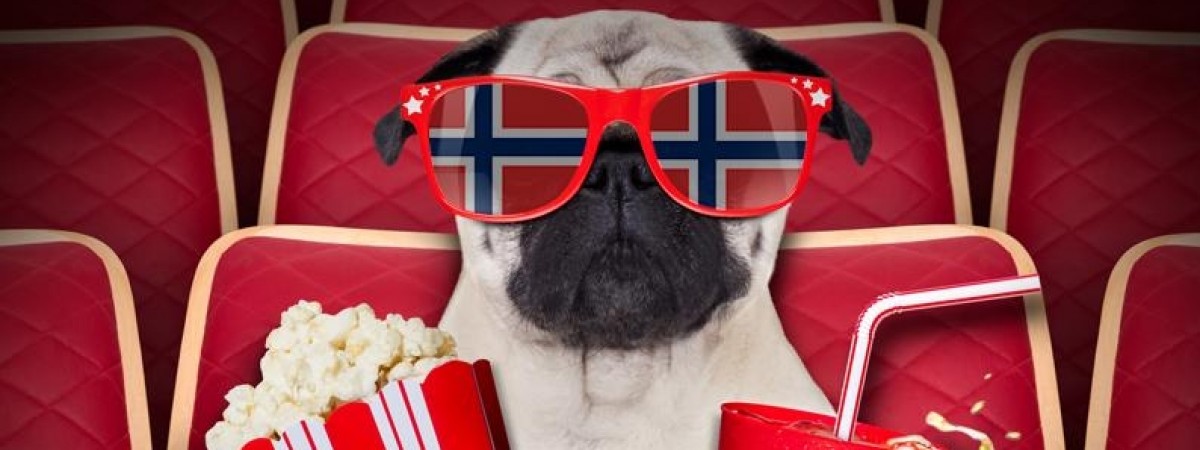Seans dla psów? W Norwegii to możliwe – stołeczne kino zaprasza je na film