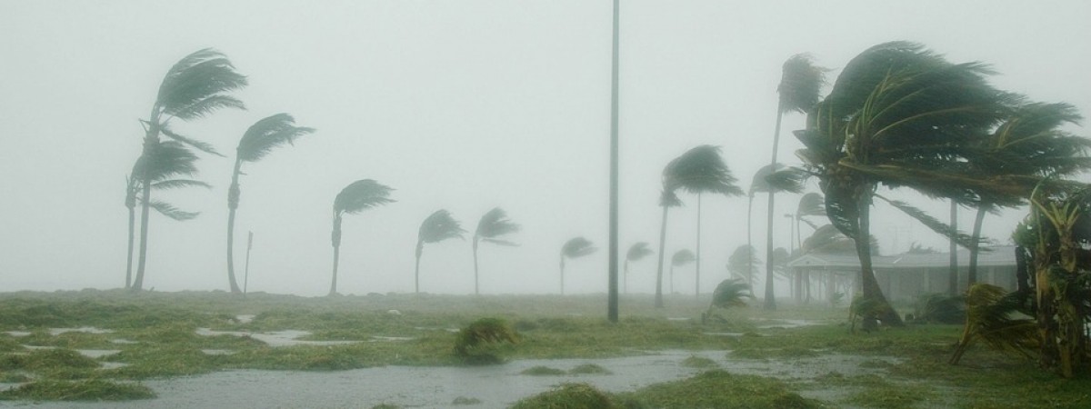 Huragany to wina norweskiej ropy. Tak twierdzi Partia Zielonych i… chce przyjmować uchodźców klimatycznych