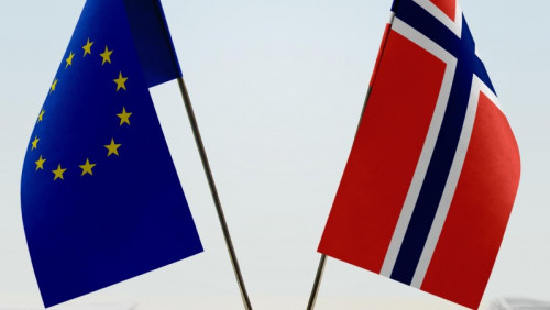 To było historyczne referendum: ćwierć wieku temu Norwegowie powiedzieli Unii „nie”