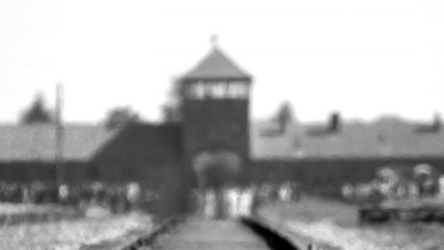 Polacy mogą tropić zwrot „polski obóz” w sieci. Pomoże aplikacja Muzeum w Auschwitz
