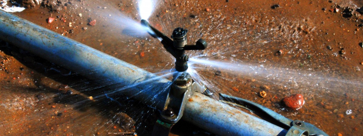 Stołeczne Wodociągi apelują o oszczędność. Może zabraknąć wody zdatnej do picia