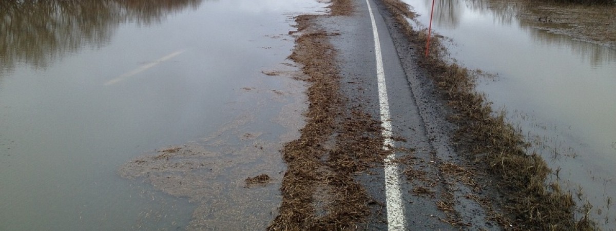Ewakuacja mieszkańców i zniszczone ulice. Powódź w Hedmark po gwałtownych ulewach