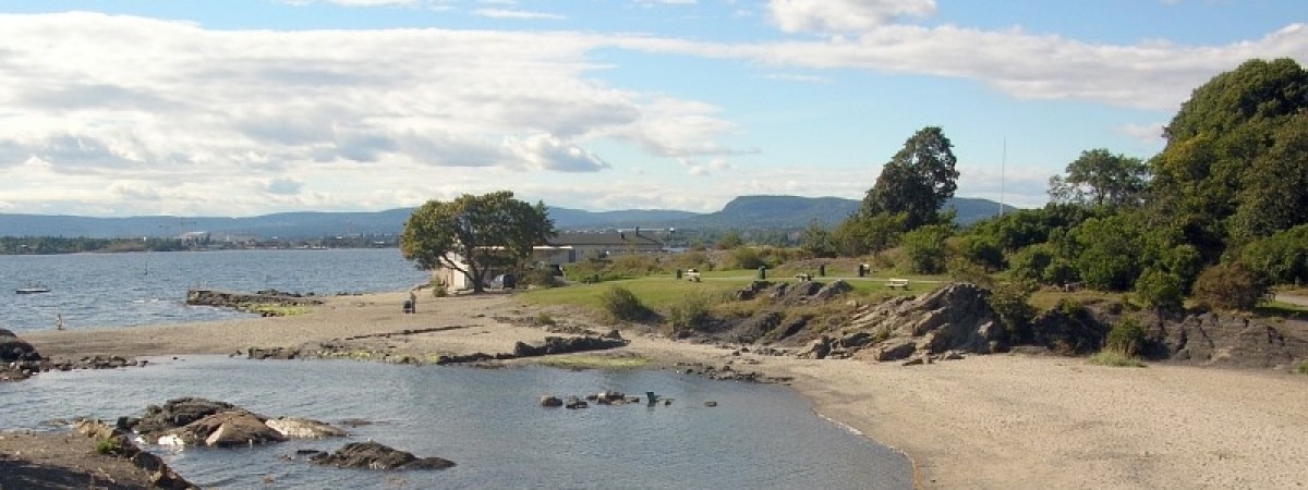 Trujące „pamiątki” na stołecznej plaży. Pochodzą jeszcze z czasów wojny