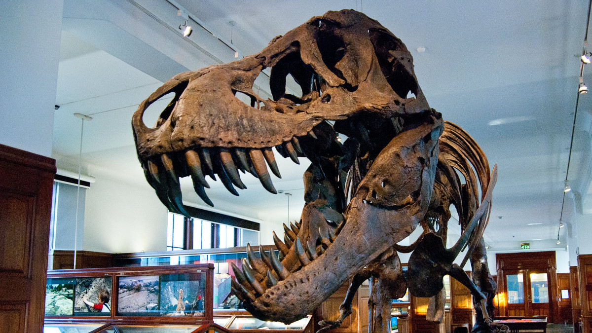 Tyle osób jeszcze nigdy nie odwiedziło muzeum w Oslo. Może zostać Muzeum Roku w Europie 2025