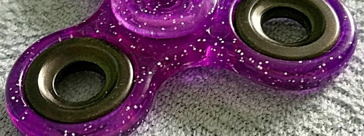 Polak wpadł na granicy: chciał wwieźć do Norwegii prawie 900 spinnerów i 420 zabawek-owadów