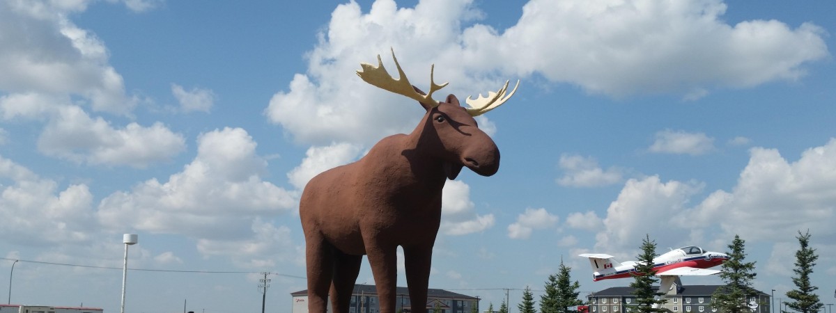 Bitwa na gigantyczne łosie: Norwegia ograbiła rekordzistów, ale ci szykują odwet