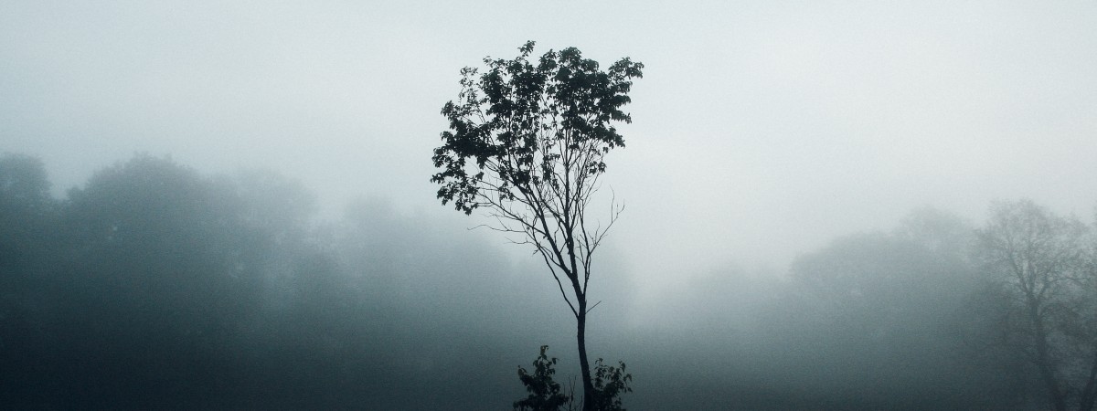 #Zjawisko: Po śmierci zostaną z człowieka granulki. Norwegowie coraz częściej wybierają eko-pochówek 