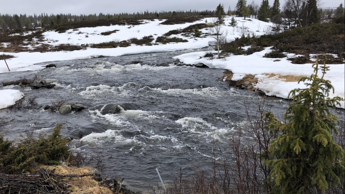 Służby ostrzegają przed powodzią. Na południu i wschodzie zalega wyjątkowo dużo śniegu