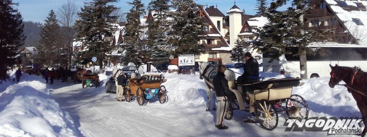 Mają rozmach... Norwegowie zamówili kilkadziesiąt bryczek, by dojechać na skoki