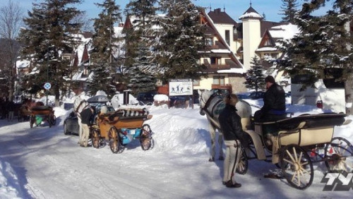 Mają rozmach... Norwegowie zamówili kilkadziesiąt bryczek, by dojechać na skoki