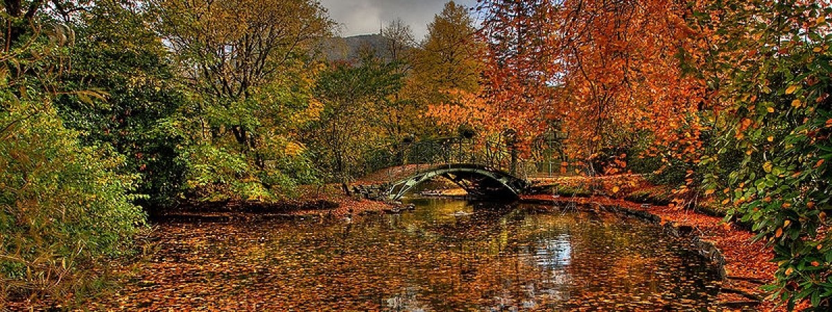 1.11 Wszystkich Świętych [WYDARZENIA W LISTOPADZIE]