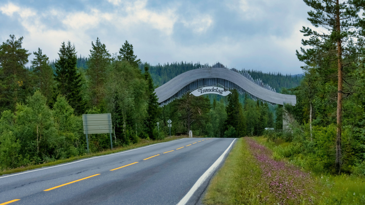 Może paść nowy rekord temperatury w Norwegii po 55 latach. Prognozy mówią o 36 stopniach