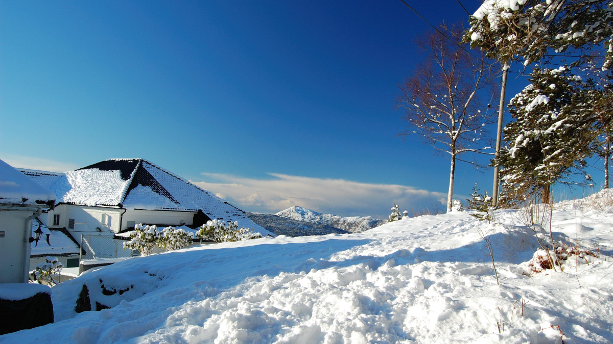 Trzęsienie ziemi i śnieżny chaos w Vestland. Zachodnia Norwegia zmaga się z naturą