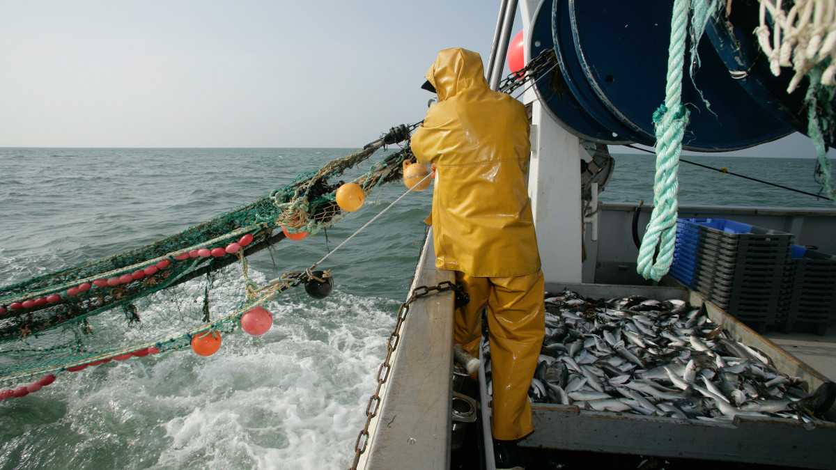 Parlamentarzyści UE ostro krytykują Norwegię: chodzi o „zaborcze” podejście do rybołówstwa