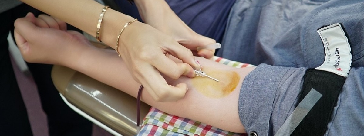 Krew ratuje życie. Jak zostać honorowym krwiodawcą w Norwegii? 