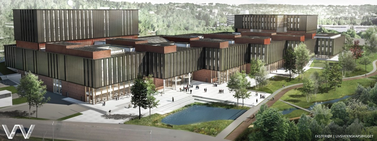 Prawie 7 miliardów koron na budynek uniwersytetu. Będzie największy w Norwegii [VIDEO]
