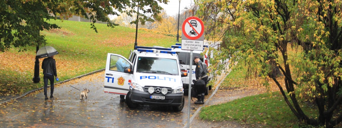 Największa afera pedofilska w historii: zatrzymano 51 osób, w tym polityków i biznesmenów. Wśród ich ofiar są niemowlęta