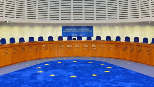 Barnevernet pod lupą Strasburga. Po raz dziewiąty rusza proces