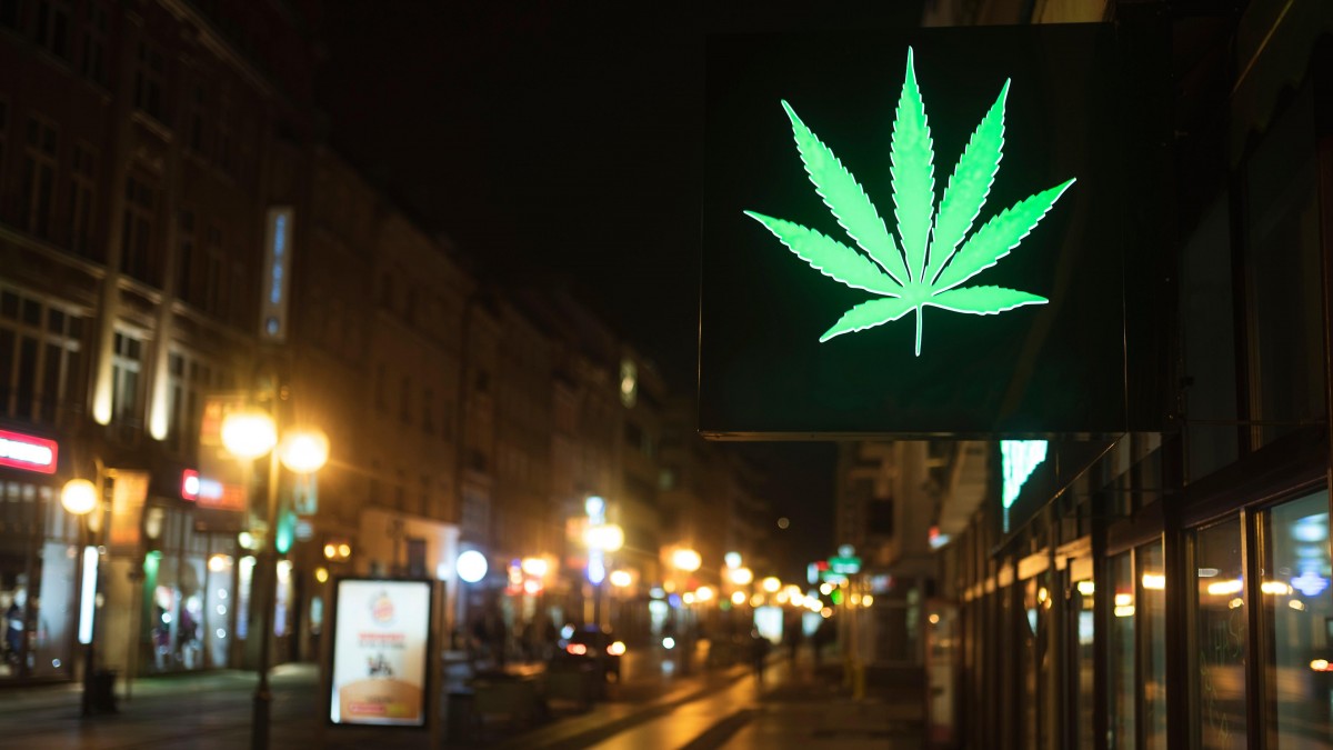 Kolejna próba legalizacji marihuany w Norwegii: w planach sprzedaż i posiadanie na własny użytek