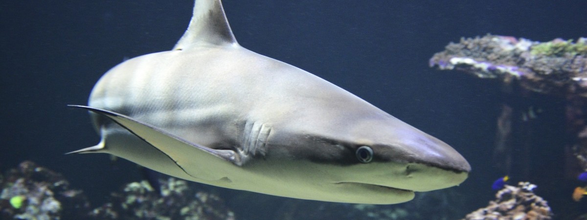 Rajskie wakacje zakończone koszmarem