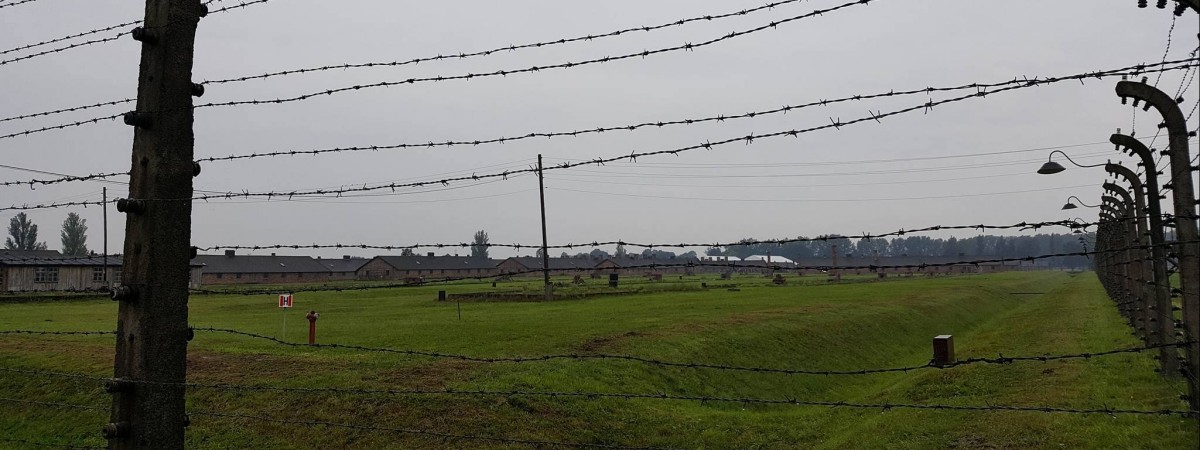 Norweski portal pisze o Polakach: „Kolaborowali z nazistami, chcą karać za fakty historyczne”