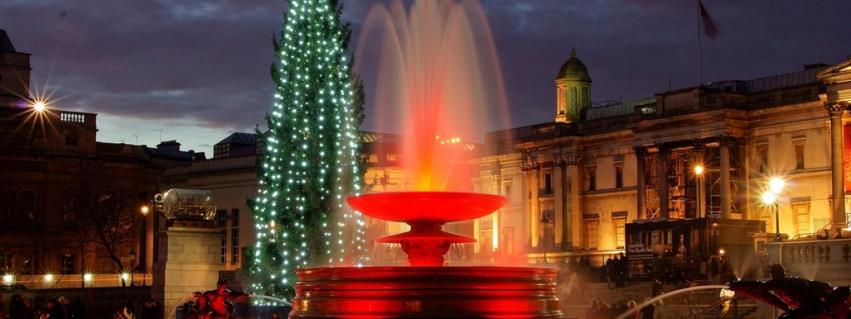 Żeby tradycji stało się zadość: norweska „choinka wdzięczności” jest już w drodze do Londynu