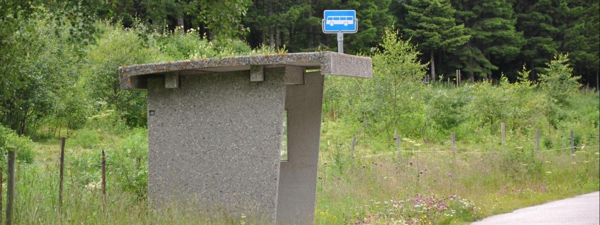 Bergen: likwidują zatoczki autobusowe. Wszystko, by usprawnić komunikację miejską