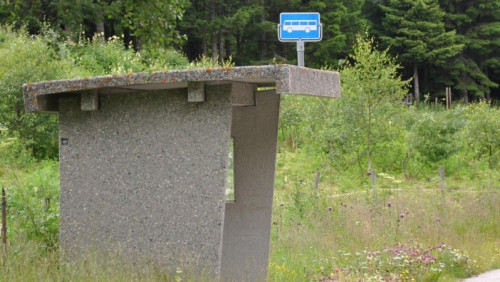 Bergen: likwidują zatoczki autobusowe. Wszystko, by usprawnić komunikację miejską