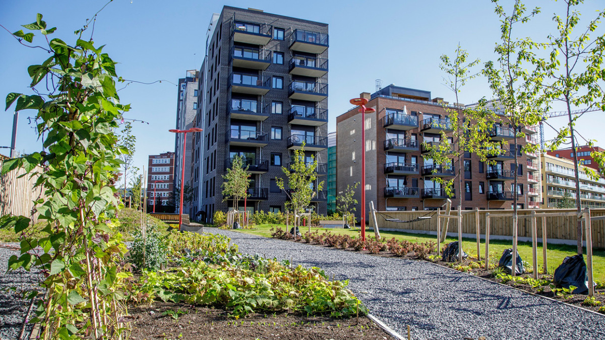 Mieszkanie w Oslo na wagę złota. Wzrost cen jest już dwucyfrowy