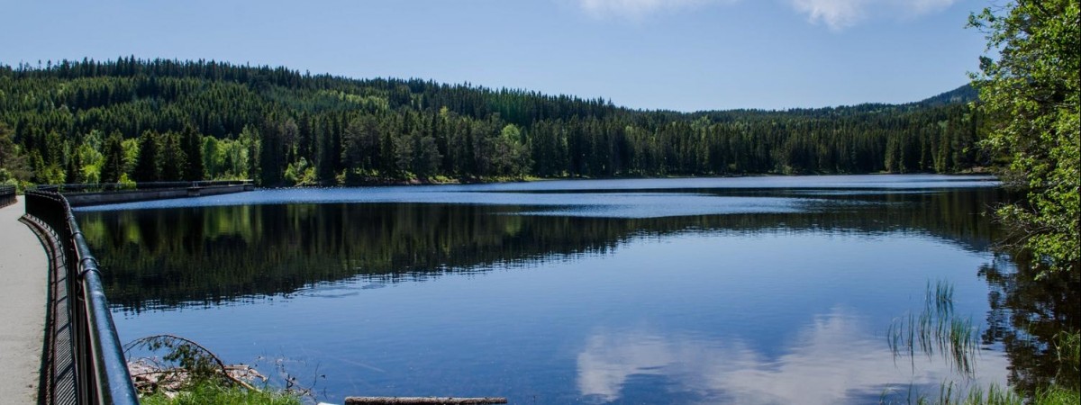 Nie tylko muzea i galerie: siedem miejsc w Trondheim, w których natura zachwyca [ZDJĘCIA]