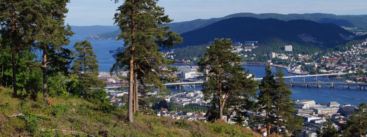 Samochodem na szczyt góry, czyli podróż na Bragernesåsen w Drammen