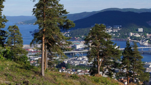 Samochodem na szczyt góry, czyli podróż na Bragernesåsen w Drammen