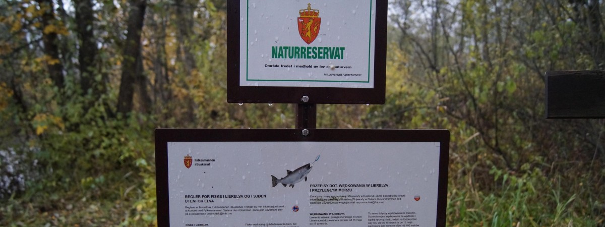 Nielegalne połowy na Lierelva: 10 000 koron za brak zezwolenia. Walka z kłusownikami trwa tu cały rok