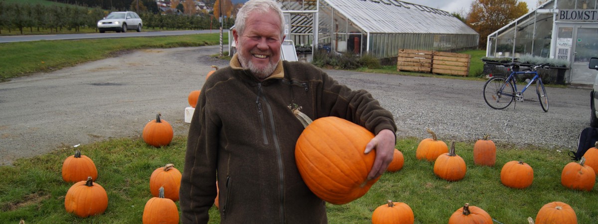 Dyniowe szaleństwo na Halloween: „Przez kilka dni sprzedałem dwie tony dyń”