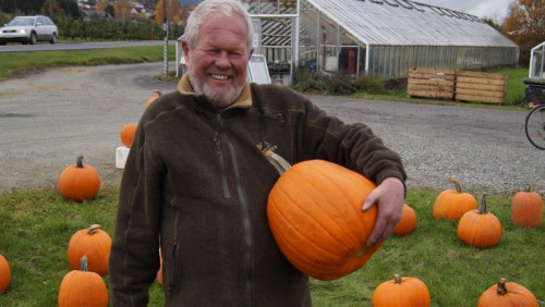Dyniowe szaleństwo na Halloween: „Przez kilka dni sprzedałem dwie tony dyń”