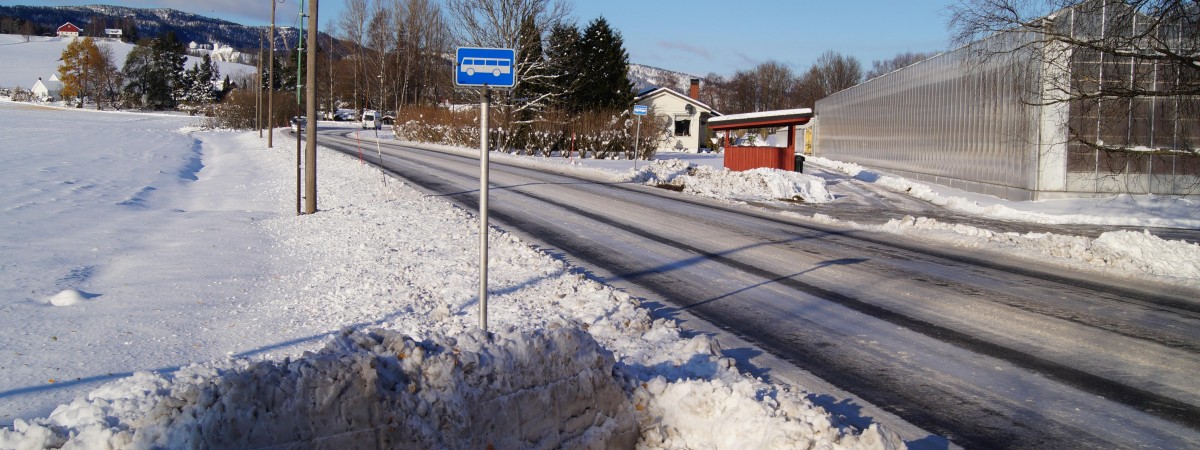 Ostry atak zimy: Chaos na drogach, zerwane linie wysokiego napięcia