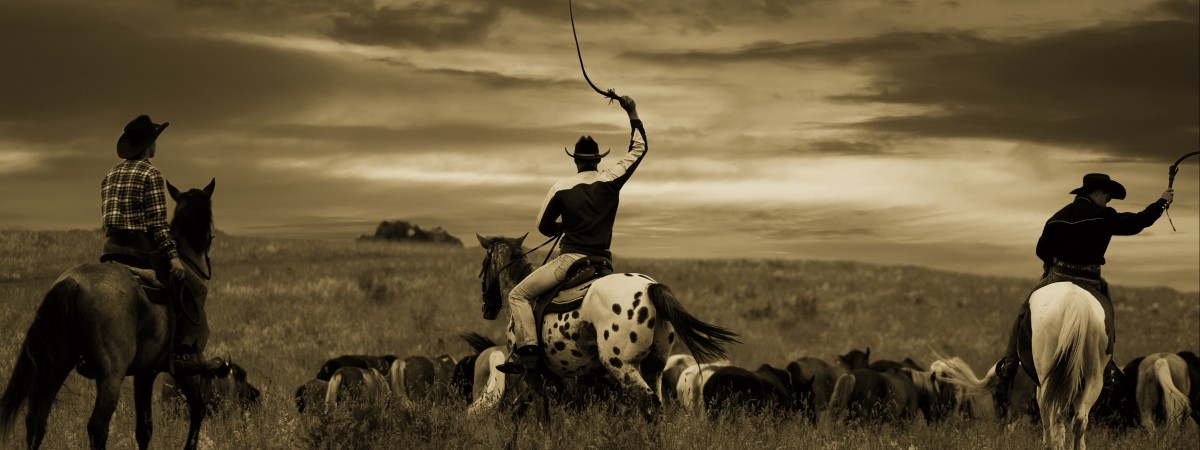 „Texas” znaczy… szalony. Co amerykański stan ma wspólnego z norweskim slangiem?