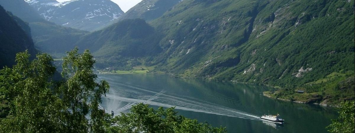Dbają o środowisko, zabijają setki wielorybów. Witajcie w Norwegii – kraju ekohipokrytów