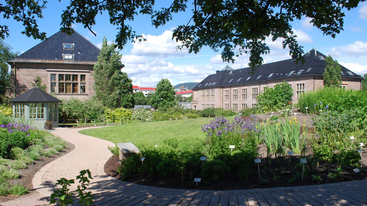 Mają zakaz, bo sikały na zagrożone rośliny. Z psem nie wejdziecie już do Ogrodu Botanicznego w Oslo