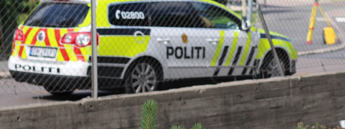 Polak zabity podczas imprezy świątecznej. Zadźgał go kolega z pracy