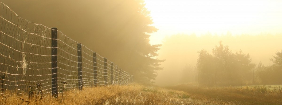 Końcówka zimy z letnią temperaturą. Na południu padł nowy rekord ciepła