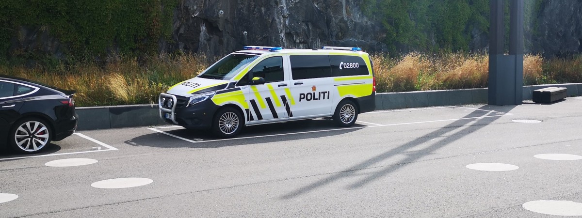 Polak zatrzymany za porwanie i brutalne pobicie. Nie przyznaje się do winy