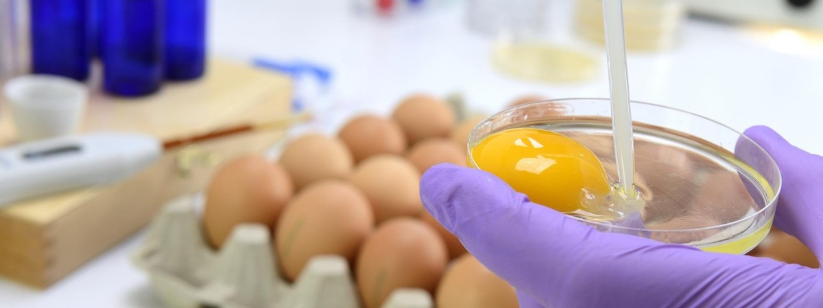 Ostrzeżenie przed salmonellą dla pięciu okręgów. Dziewięć osób trafiło do szpitala