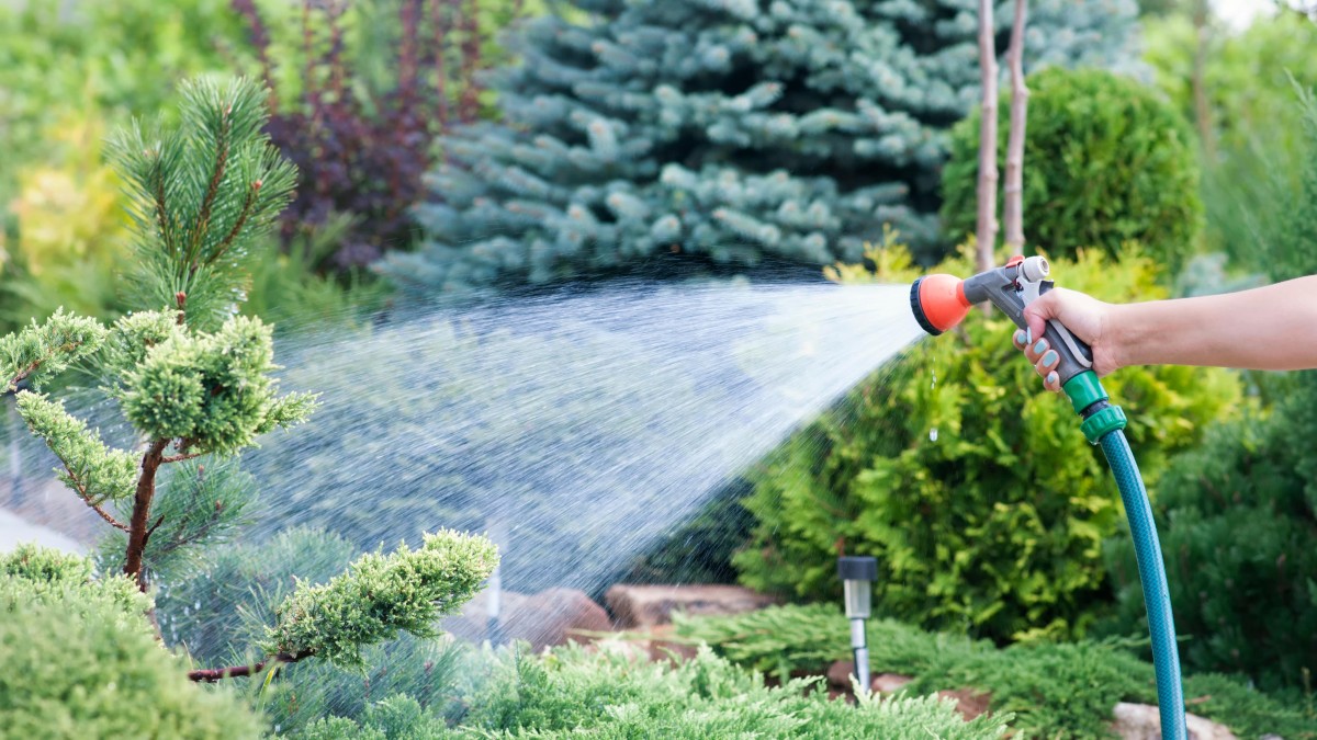 Oslo dalej ma mało wody. Gmina prosi mieszkańców o oszczędność