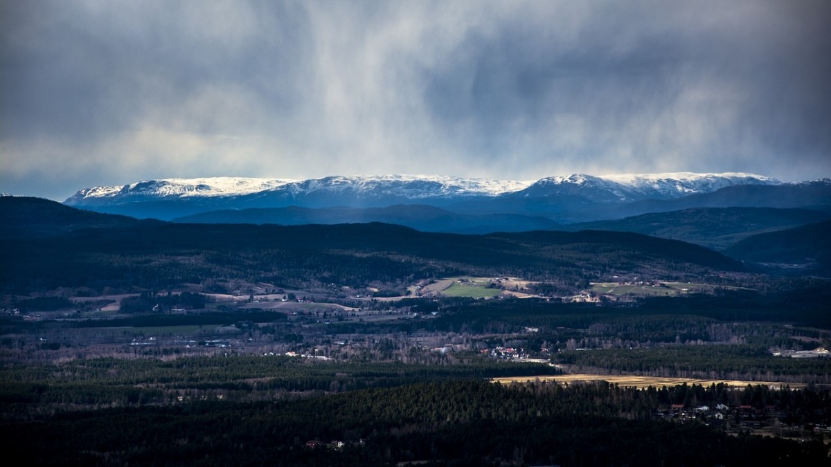 Ostrzeżenie pogodowe na południu kraju: wiatr może łamać przydrożne drzewa