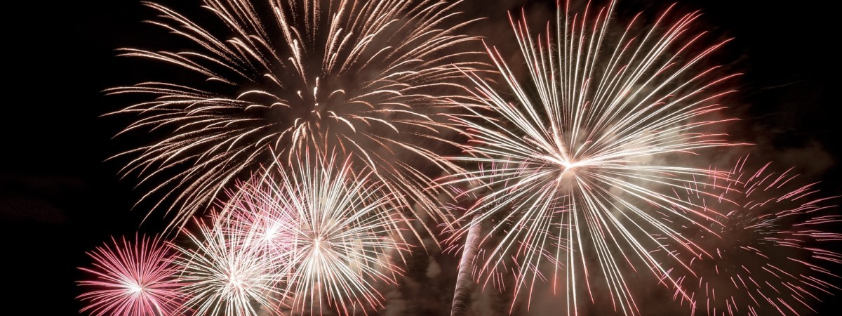 „Dzięki za przerażone zwierzęta”. Ostre reakcje po nocnym pokazie fajerwerków