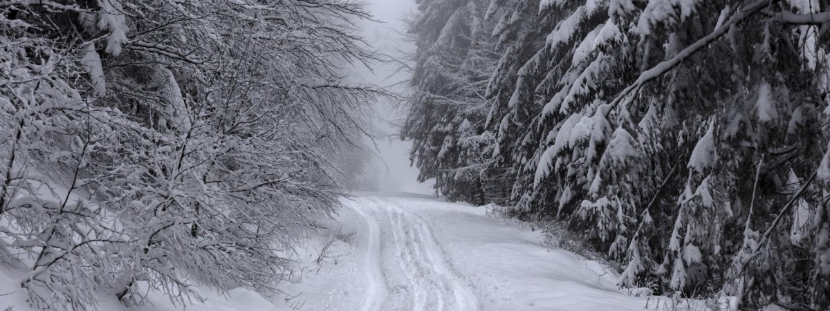 Do Norwegii przyjdzie prawdziwa zima? W tych miejscach sypnie śniegiem w Boże Narodzenie