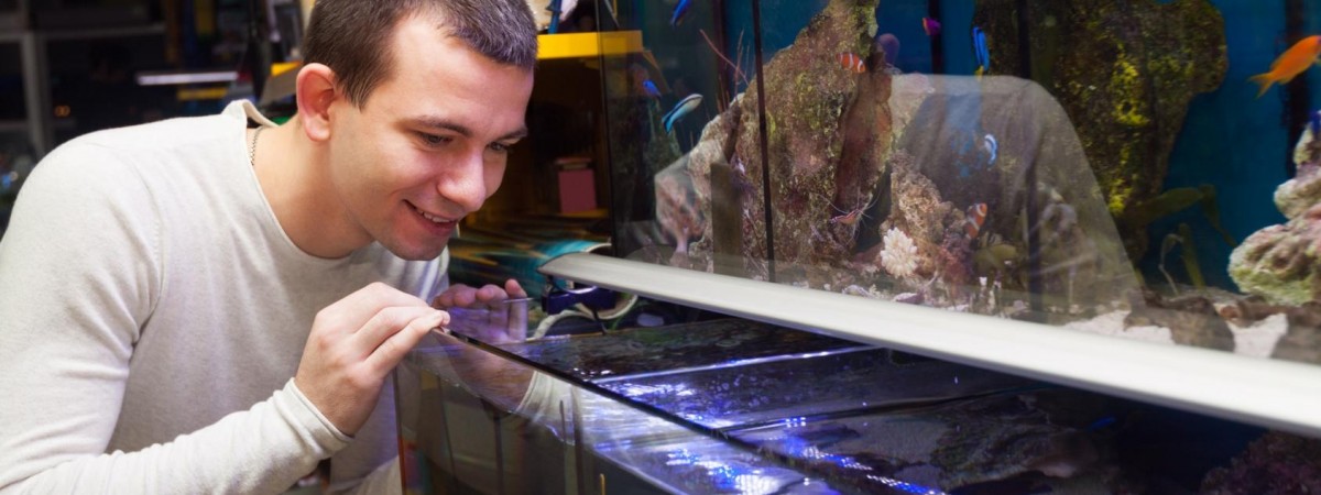 Rybki zamiast psa? Polacy w Norwegii inwestują w akwaria