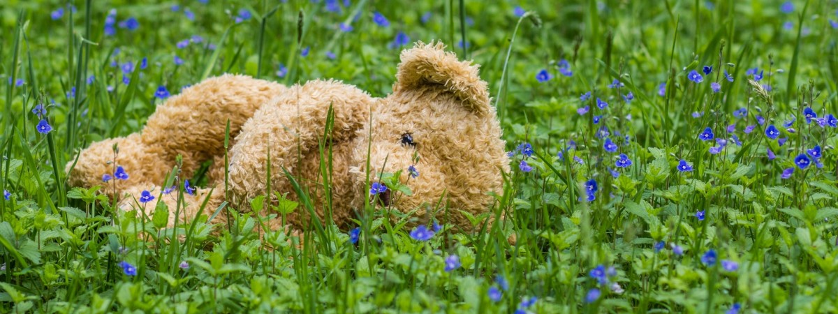 Rozebrali siedmiolatka, zawiesili do góry nogami i obrzucili kamieniami