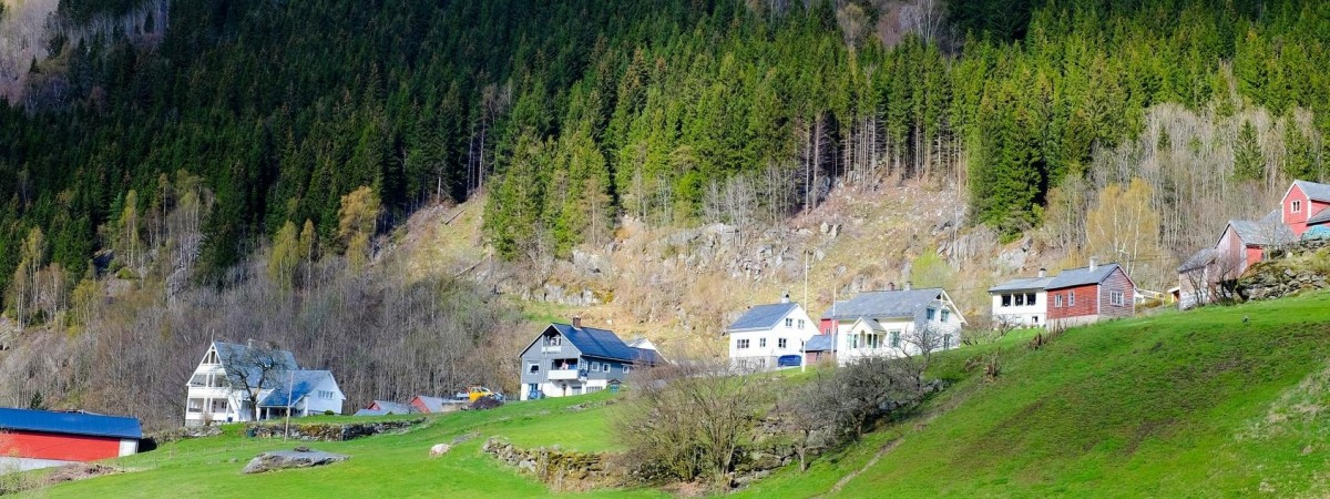 Trawa, słońce i wiosenne temperatury. To był najcieplejszy grudzień w Norwegii od lat